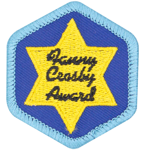 a patch with a gold star on blue background with a light blue border