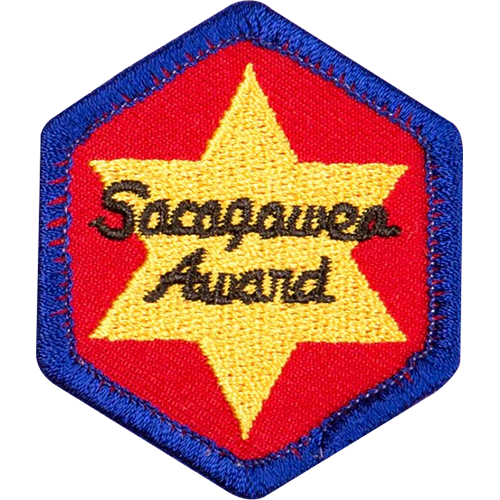 a patch with a gold star on red background with a blue border